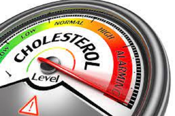 அதிகளவு ஆரோக்கிய நன்மைகளைக் கொண்ட வெந்தயம் பற்றிய தகவல்கள் | Facts About Fenugreek That You Didnt Know அதிகளவு ஆரோக்கிய நன்மைகளைக் கொண்ட வெந்தயம் பற்றிய தகவல்கள் | Facts About Fenugreek That You Didnt Know