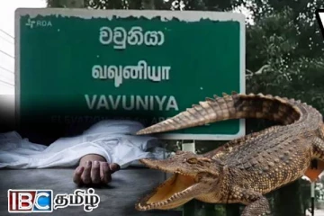 முதலை தாக்கி வயோதிப பெண் பரிதாபமாக உயிரிழிப்பு