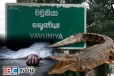 முதலை தாக்கி வயோதிப பெண் பரிதாபமாக உயிரிழிப்பு