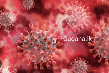 කොරෝනා මෙන් 20 ගුණයක් මාරාන්තික දරුණු වසංගතයක්..