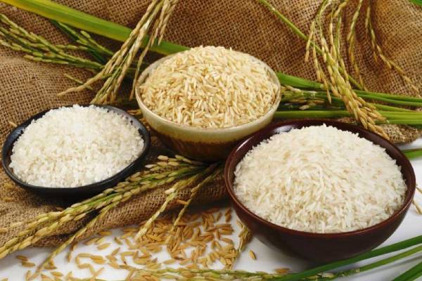 அதிக விலைக்கு அரிசி விற்பனை ; 135 கடைகள் மீது சட்ட நடவடிக்கை | Legal Action Against 135 Shops Rice At High Prices