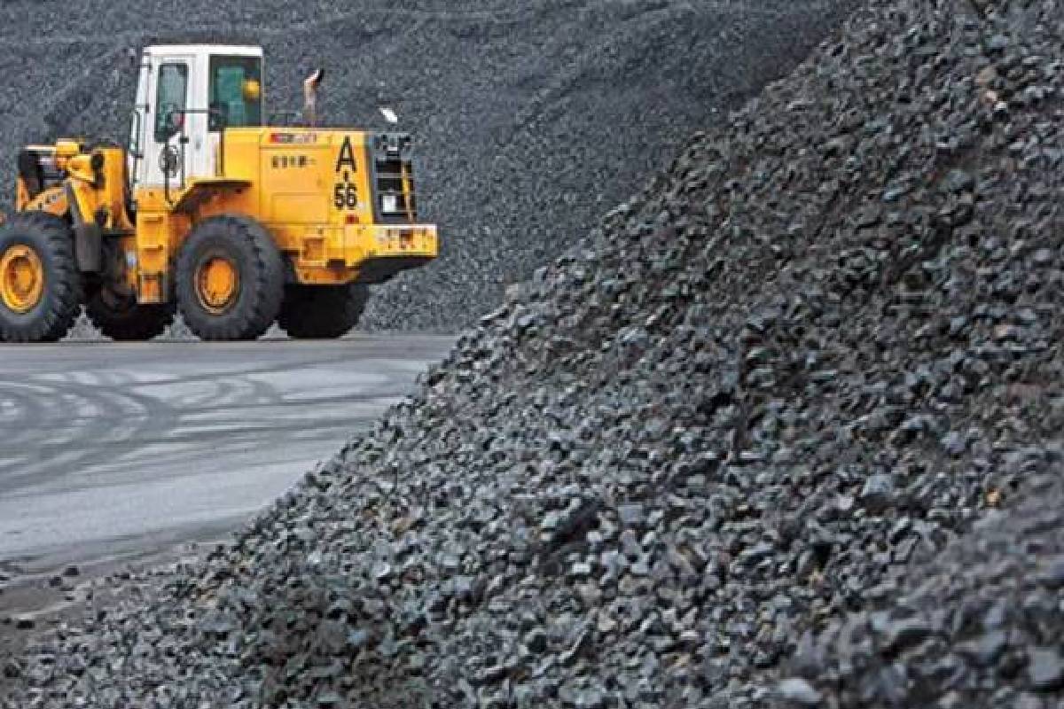 நிலக்கரி கொள்வனவு குற்றச்சாட்டுகள் அரசியல் உள்நோக்கம் கொண்டவை! நளிந்த பதிலடி | Coal Purchase Allegations Politically Motivated