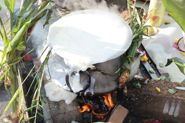 சுவிற்சர்லாந்து பேர்ன் ஞானலிங்கேச்சுரத்தில் தமிழர் திருநாள் தைப்பொங்கல் | Tamil Festival Thai Pongal Celebrated Switzerland