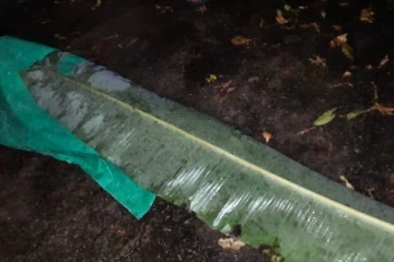 யாழிலிருந்து நீராட கொழும்பிற்கு சென்ற மூவரின் சிறுமிக்கு நேர்ந்த பரிதாபம்!