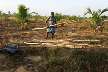 கிளிநொச்சியில் விவசாயிகளுக்கு இழைக்கப்படும் அநீதி: அம்பலமாகிய உண்மை (Photos)