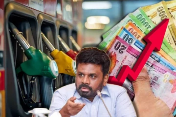 எரிபொருள் விலை குறித்து ஜனாதிபதி மறைமுக அறிவிப்பு