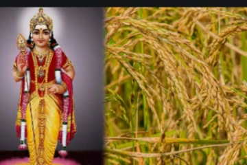 “தைப்பூசம்” விசேஷமாக கொண்டாடப்படுவதற்கு காரணம் என்ன? நல்ல காரியங்கள் தொடங்கலாமா? சாஸ்த்திரம் கூறும் உண்மைகள்