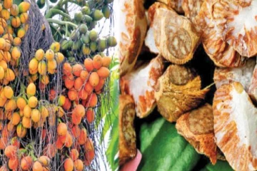 நாட்டில் பாக்கு விலை சடுதியாக அதிகரிப்பு