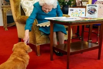 அழைக்காமல் வந்த விருந்தாளியால்  உற்சாகமடைந்த இங்கிலாந்து ராணி!