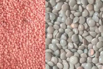 அசைவ உணவை விட அதிக ஊட்டச்சத்துக்கள்.., பருப்பில் இருக்கும் பல்வேறு நன்மைகள்