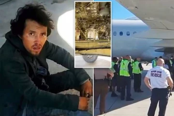 விமானத்தின் லேண்டிங் கியருக்குள் ஒளிந்து வந்த நபர்! அதிர்ச்சியில் அதிகாரிகள்: வெளியான வீடியோ