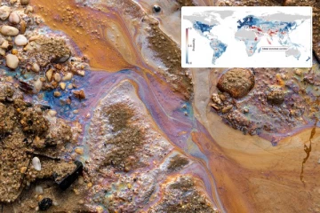 உலகளவில் விளைநிலங்களில் கன உலோக மாசு! கேள்விக்குறியாகும் உணவுப் பாதுகாப்பு