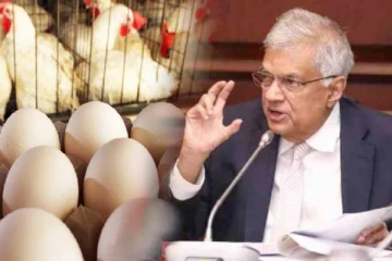 கோழி இறைச்சி விலை அதிகரிப்பு! ஜனாதிபதி வழங்கியுள்ள அனுமதி