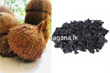 පොල්කටු සම්බන්ධයෙන් ශ්‍රී ලංකාවට සතුටුදායක ආරංචියක්..