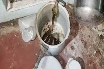 சமைக்கும் குக்கரில் இருந்து எட்டிப்பார்த்த நல்ல பாம்பு: வைரல் புகைப்படம்