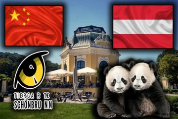 பாண்டா பாதுகாப்பு ஒத்துழைப்புக்கான புதிய ஒப்பந்தத்தில் கையெழுத்திட்டுள்ள சீனா