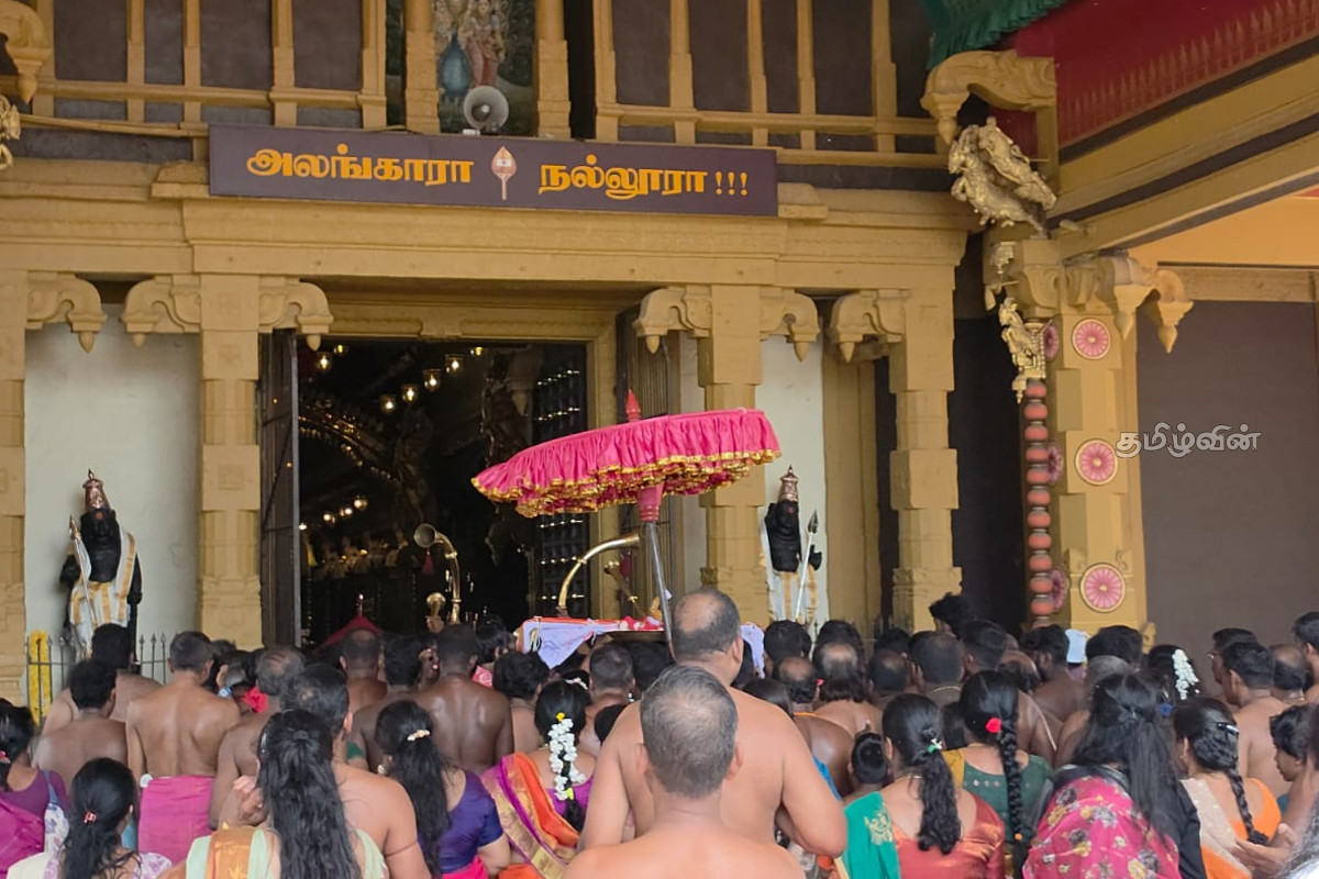 பாரம்பரிய மரபுடன் நல்லூர் கந்தசுவாமி ஆலயத்தை வந்தடைந்த புனிதக் கொடிச்சீலை | Sacred Flagpole Nallur Kandaswamy பாரம்பரிய மரபுடன் நல்லூர் கந்தசுவாமி ஆலயத்தை வந்தடைந்த புனிதக் கொடிச்சீலை | Sacred Flagpole Nallur Kandaswamy