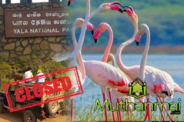 திடீரென மூடப்பட்ட யால தேசிய பூங்கா
