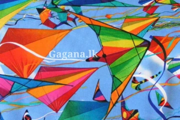 සරුංගල් යැවීම සම්බන්ධයෙන් තහනමක්.