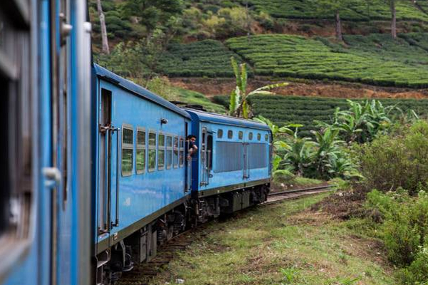 இலங்கையில் நாளாந்த ரயில் சேவையை குறைக்க தீர்மானம்! | Decision To Reduce Daily Train Service Sri Lanka