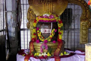 திருவண்ணாமலையின் மறைக்கப்பட்ட பொக்கிஷம்: ஆதி அண்ணாமலையார் கோவில்