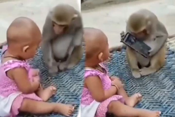 குரங்குக்கும் குழந்தைக்கும் அரங்கேறிய சண்டை... சிரிப்பை அடக்கமுடியாத காணொளி