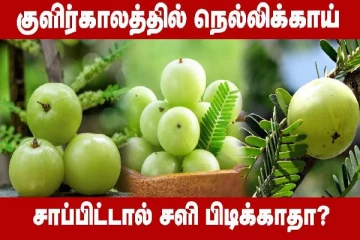 குளிர்கால பிரச்சினைகளுக்கு நெல்லிக்காய் தீர்வு கொடுக்குமா?