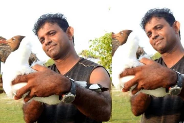 மன்னாரில் இருந்து இமயமலைக்கு செல்லும் அதிசய பறவை!