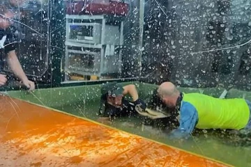 முதலைக்கு உணவளிக்க எண்ணிய பெண்ணுக்கு நேர்ந்த கதி