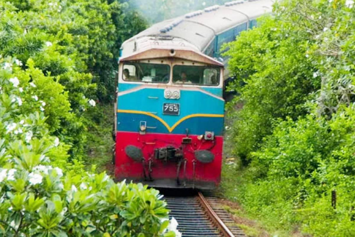 சித்திரை புத்தாண்டை முன்னிட்டு விசேட போக்குவரத்து சேவை | A Special Transport Service Has Been Launched