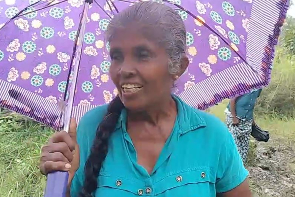 திருகோணமலையில் மின்சார வேலியில் சிக்குண்டு காட்டு யானை உயிரிழப்பு | Elephant Dies Entangled In Electric Fence Trinco