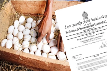 முட்டை விலையில் மாற்றம் - வெளியான வர்த்தமானி