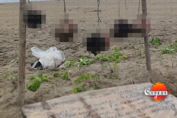 මොන අපරාධයක්ද - මුහුදු වෙරළේ මිනිස් ඔළු පහක් එල්ලලා