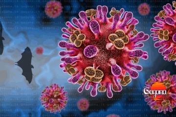 ඉන්දියානු මස් වර්ගවලට හදිසි තහනමක් - හේතුව මෙන්න