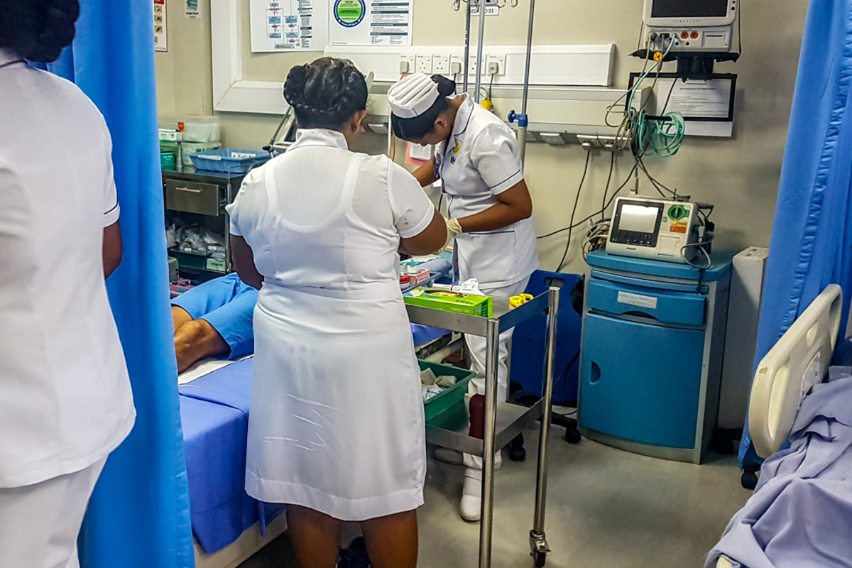 குளவிக்கொட்டுக்கு இலக்கான 10 பாடசாலை மாணவர்கள் | 10 School Students Stung By Wasps