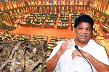 நெத்தலிக் கருவாடு இறக்குமதிக்காக 995 கோடி ரூபாய் செலவு