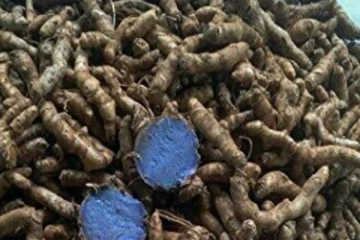 கருப்பு மஞ்சளை இப்படி பயன்படுத்தினால் போதும்.. பணகஷ்ட நிலமையே ஏற்படாதாம்!