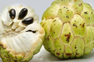 சீதாப்பழத்தை வாரம் ஒரு முறை சாப்பிட்டால் போதும்! இத்தனை நோய்களில் இருந்துவிடுபட முடியுமாம்