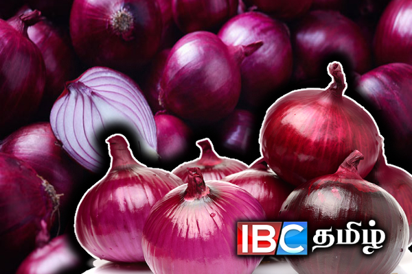 பெரிய வெங்காயம் தொடர்பாக அரசின் விசித்திர முடிவு - வலுக்கும் கண்டனம் | Onion Price In Sri Lanka Today