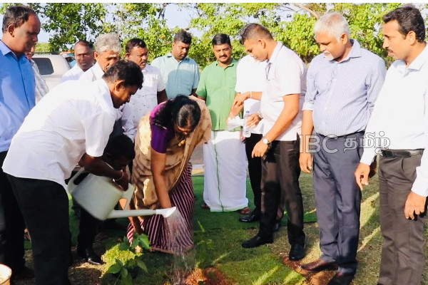 யாழில் ஆரம்பித்து வைக்கப்பட்ட1000 மரக்கன்றுகள் நடும் செயற்திட்டம் (படங்கள்) | A Project To Plant 1000 Was Started In Jaffna