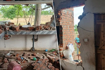 திருகோணமலையில் அதிகரித்துள்ள காட்டு யானை தாக்கம்