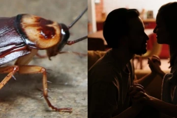 හැරගිය පෙම්වතා පෙම්වතිය සිහිකර කැරපොත්තෙකුට නම් තැබීමට සුපිරි අවස්ථාවක්...