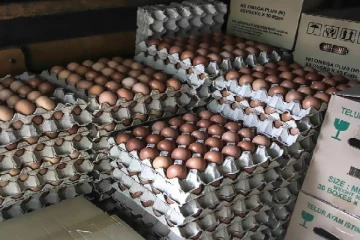 முட்டை உற்பத்தியாளர்களின் சூழ்ச்சி அம்பலம்