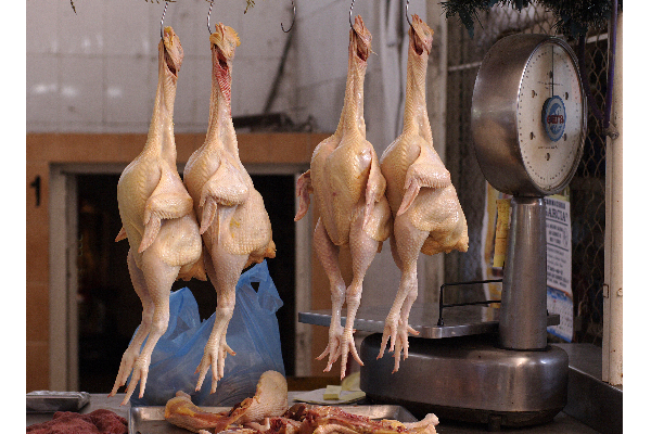 கோழி இறைச்சி விலை தொடர்பில் பரவும் பொய்யான தகவல்! | False Information About The Price Of Chicken