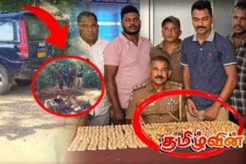 யாழில் சிக்கிய பெண் உட்பட இரு இளைஞர்கள்! கதிகலங்கும் படையினர்