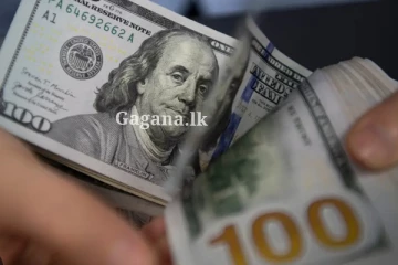 අද අමෙරිකානු ඩොලරයේ වටිනාකම සටහන් වූයේ මෙහෙමයි - මහ බැංකුවෙන් නිවේදනයක්. (PHOTO)