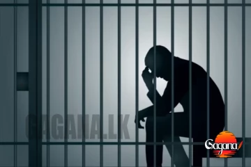 ඊශ්‍රායෙල් ජාතිකයෙක් ලංකාව ඇතුලේ හොර ගල් අහුලලා දැන් කූරු ගනින්නයි වෙන්නේ