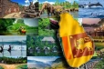 18 இலட்சத்துக்கும் அதிகமான சுற்றுலாப் பயணிகள் இலங்கைக்கு வருகை