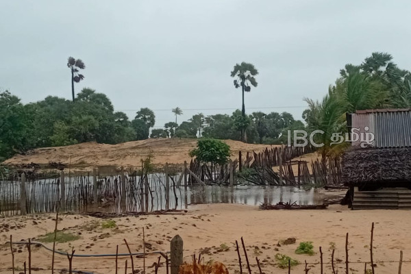 காலநிலை மாற்றத்தினால் பாதிப்புக்குள்ளாக வடக்கின் இன்றைய நிலவரம்! | Situation In The North Due To Climate Change காலநிலை மாற்றத்தினால் பாதிப்புக்குள்ளாக வடக்கின் இன்றைய நிலவரம்! | Situation In The North Due To Climate Change