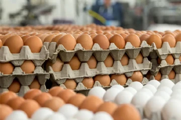 முட்டை இறக்குமதி தொடர்பில் வெளியான அறிவித்தல்